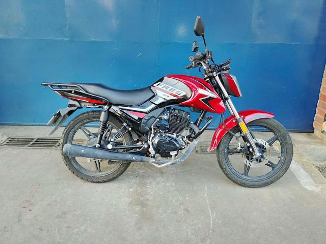 SHINERAY - SHI 150 S (2025)