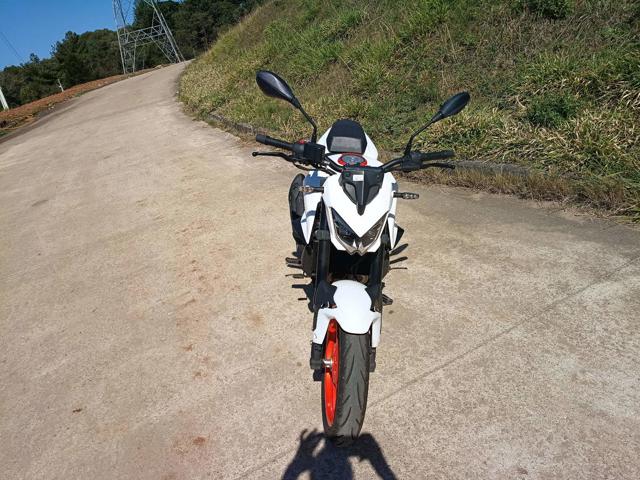 SHINERAY - XY250 (2025)